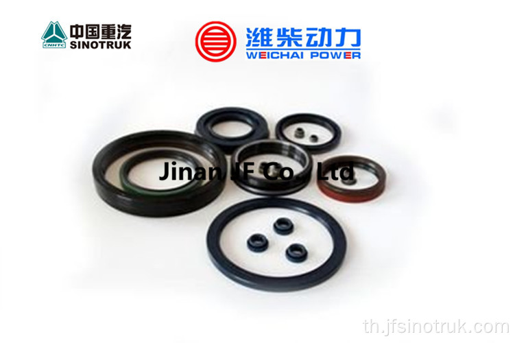 VG1246050027 61560040032 VG1560040032 Howo Oil seal