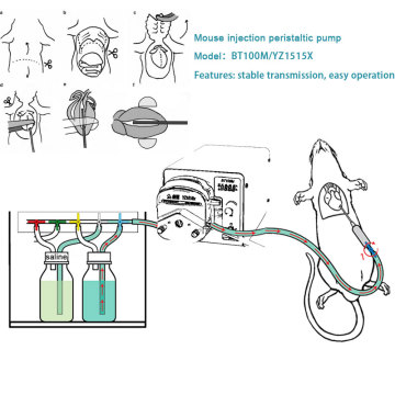 Sterility Cell Culture Fluid Filtration Peristaltic Pump