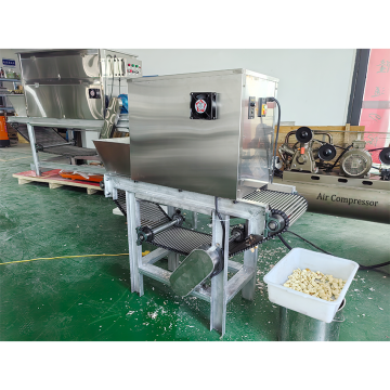 Kleinweite 200 kg/h Industriekettentyp Trocken Zwiebelschäler mit Knoblauchpealer und Luftkompressor in den USA