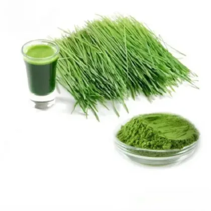 Organic Barley Grass Juice Powder 99%