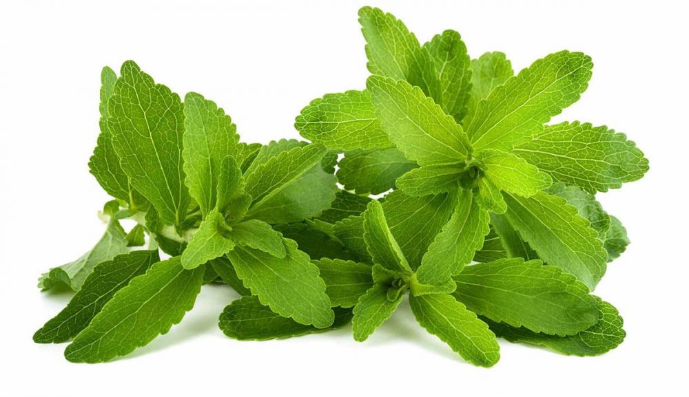 Stevia Extract