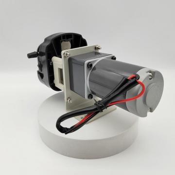 OEM 24V Peristaltic Pump Water Transfer Pump