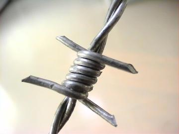 Hot Dipped Galvanized Military Barbed Wire