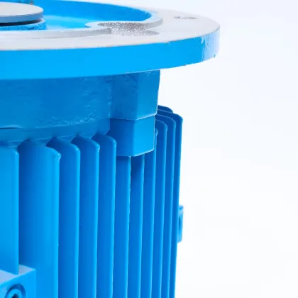 Chemical Pump Long Shaft Electric Motor