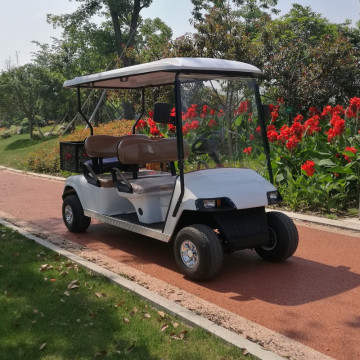 2016 melhores carrinhos de golfe para venda