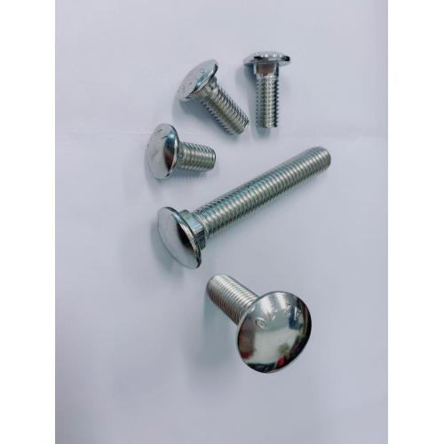 مقياس SS304 DIN603 Carriage Bolt