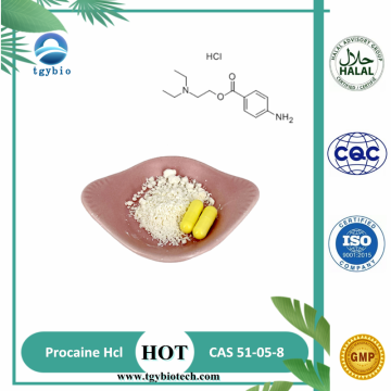 Polvere HCL PROCAINE HCL API RAW METERIALE 51-05-8