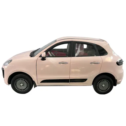 Factory Price Electric Cars: 5-Wheel Sports Cars for Adults