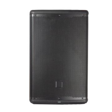 700W Professional Active Speaker with DSP and Class D Amp