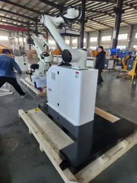 Collaborative Robots Stacking Machine Palletizer Robot for 30kg Carton