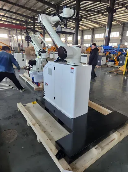 Collaborative Robots Stacking Machine Palletizer Robot for 30kg Carton