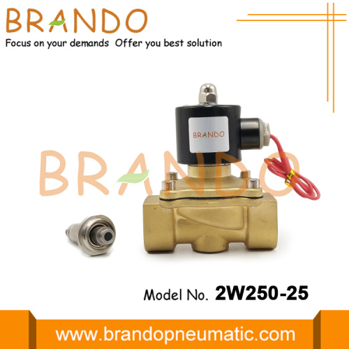 2W250-25 Pneumatic Solenoid Valve AC110V AC220V DC24V