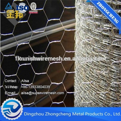 Fish Breeding Hexagonal Wire Mesh/tennis courts hexagonal wire mesh