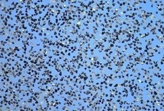 CBN Micro Powder Abradant