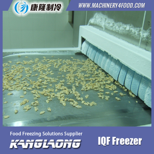 2000Kg/H Frozen Chicken Leg Quarters Fast Freezing Equipment