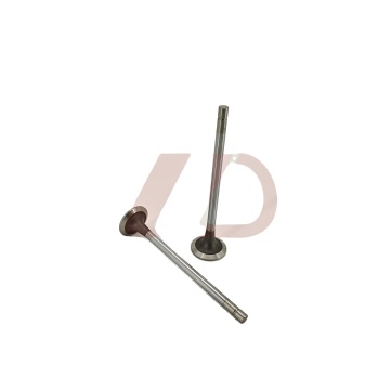 High Quality Cummins Engine Parts: L10 & L10-J1C Diesel Engine Intake Valve for Excavators - 3801356, 3033234