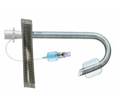 Screenshot 2025-03-05 112526