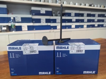 Mitsubishi C6.4 294-1684 294-1685 용 Mahle 밸브