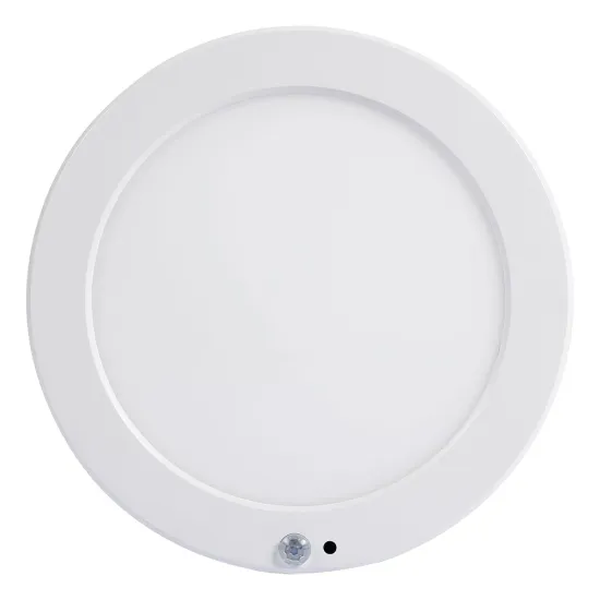 Shenzhen Tech Tricolor Dimmable 9inch LED Panel Light with Motion Sensor & Emergency Battery