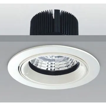 10W LED Downlight COB, Imported LED Chip, Optional Watts