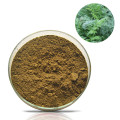 Premium Ligusticum Chuanxiong Extract