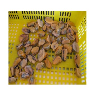 frozen fish in season frozen iqf blue mussel detail frozen mussel meat without shell bulk