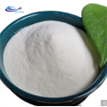 supply Freeze dried Aloe vera extract powder