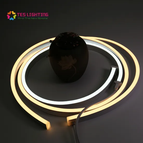 underwater neon led strip lights ip68 waterproof