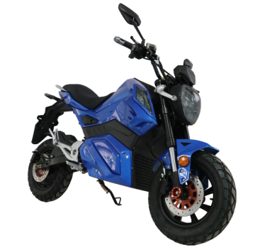 upgrade type LED headlamps sound system electric motorcycle