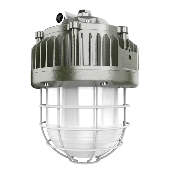 80W Explosion Proof LED Lighting for Outdoor Use - Atex Certified