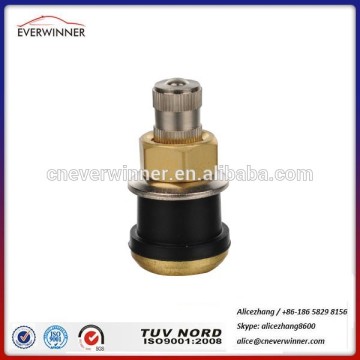 Tubeless Metal Clamp-in Valves for Truck and Bus
