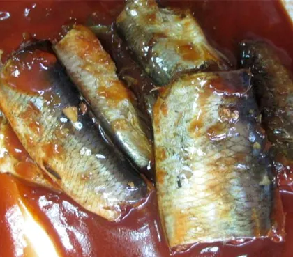 Canned Herring Fish in Tomato Sauce