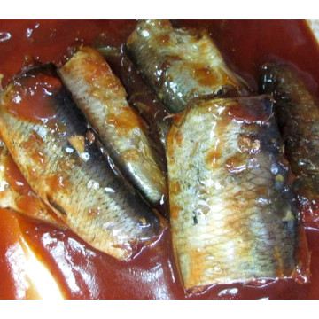 Poisson de hareng en conserve dans une sauce tomate