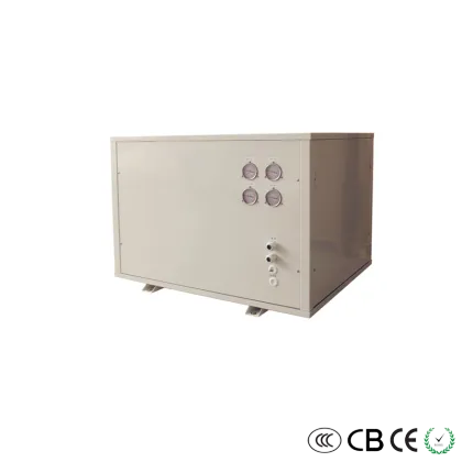 Advanced geothermal heat pump