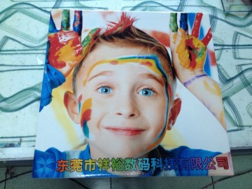 Ceramic Toner Photo Printer (Colorful 1225)
