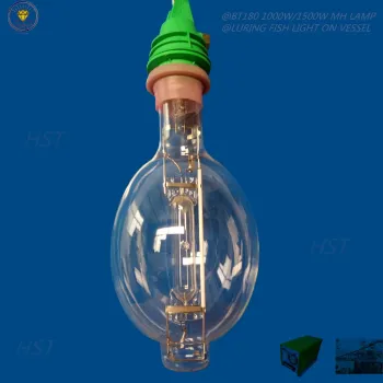 3000W Metal Halide Fishing Lights for Boats