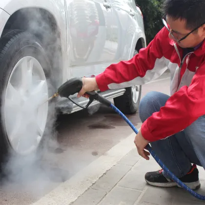 380V 2 Guns Steam Car Wash Machine HF1090