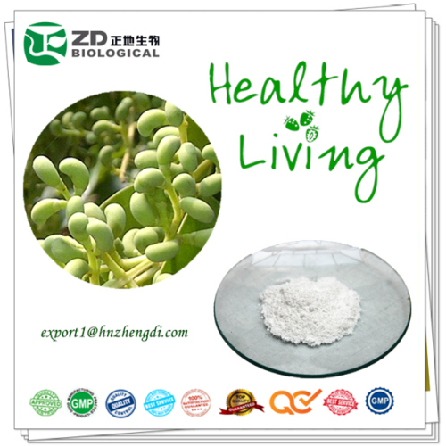 solvent residue free Herb extract powder 95% Oleanolic acid from Glossy Privet Fruit Extract for reducing enzymes