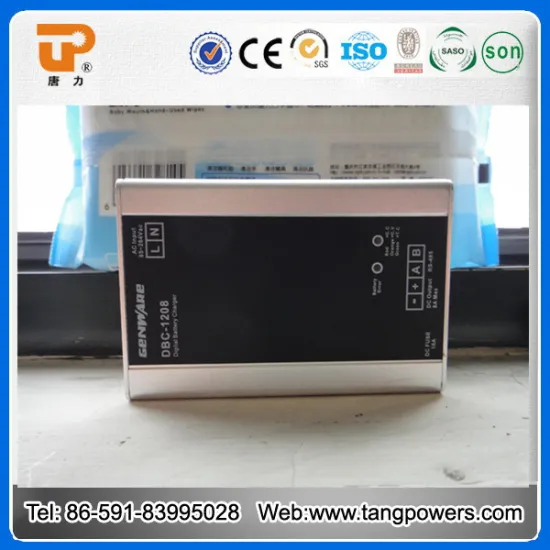 New Arrival! generator battery charger supplier dc generator battery charger