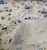 Cotton floral printed fabric