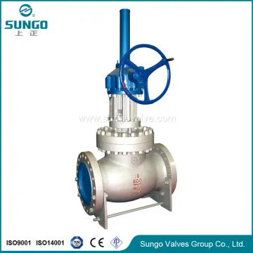Globe Valve with lock device