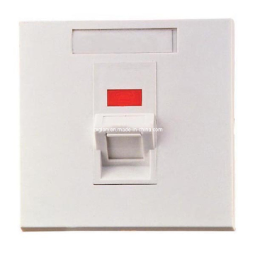 Single Port 45 Angled Degree AMP Type Face Plate
