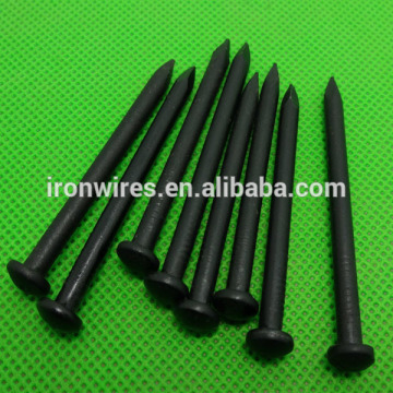 50pcs/box black steel nail for Dubai market