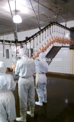 practical and economic duck slaughtering equipment duck slaughter line