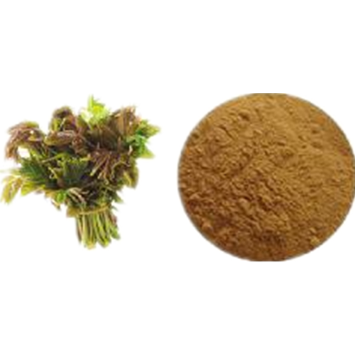 Chinese Toon Extract Toona Sinensis Leaf Extract
