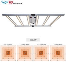 Wenyi Best Sunlight Bars 1000W Grow Lights