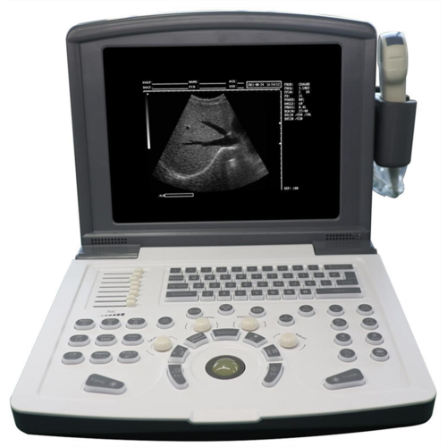 Black and White Ultrasound Scanner Portable B Ultrasound Scanner for sheep pig horse Manufactory