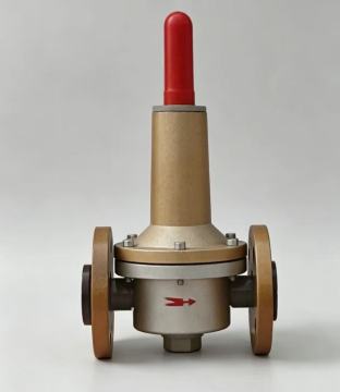 Regulador de presión de gas RTZ-B