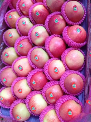 2018 new season summer apple green apple on sale red gala apple price