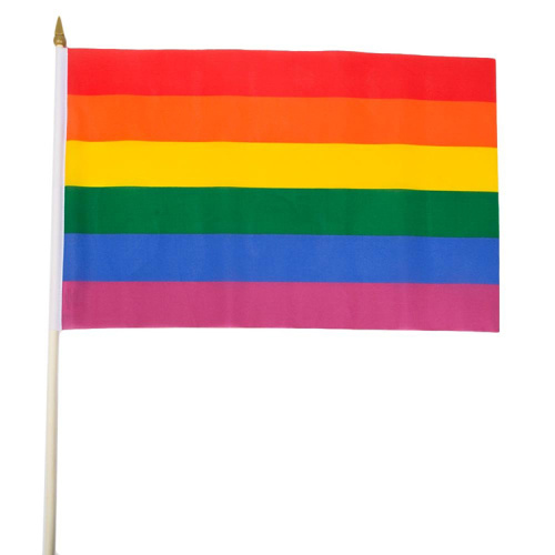 Hot Selling LGBT Printed Polyester Pride hand Flags
